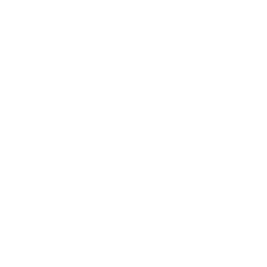 25 years of experience